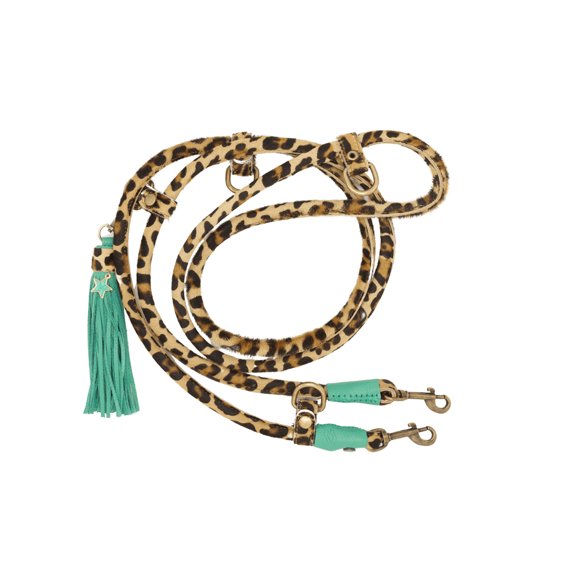 DWAM - Dog with a mission - Extra Lange Hondenriem