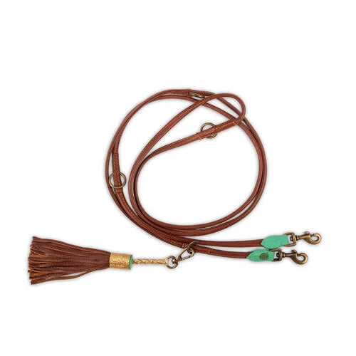 DWAM - Dog with a mission - Extra Lange Hondenriem