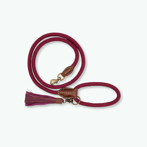 DWAM - Dog with a mission - Classic Dog leash