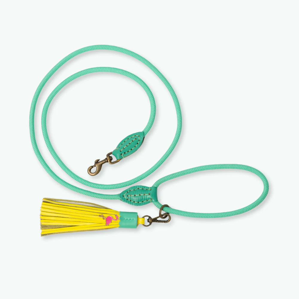 DWAM - Dog with a mission - Classic Dog leash