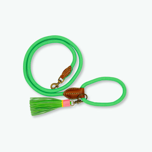 DWAM - Dog with a mission - Classic Dog leash