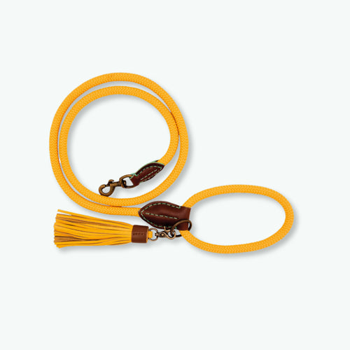 DWAM - Dog with a mission - Classic Dog leash