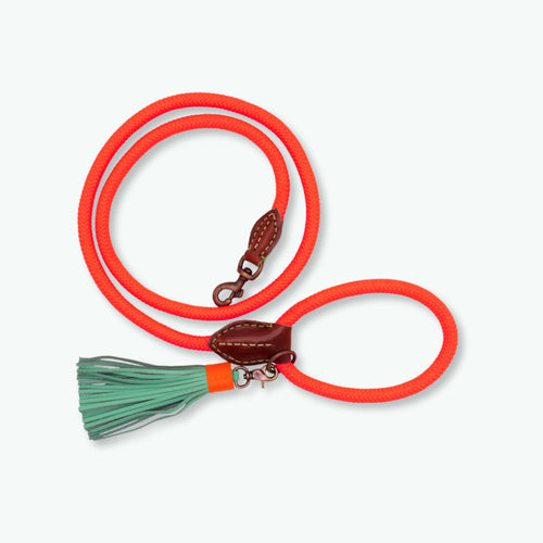 DWAM - Dog with a mission - Classic Dog leash