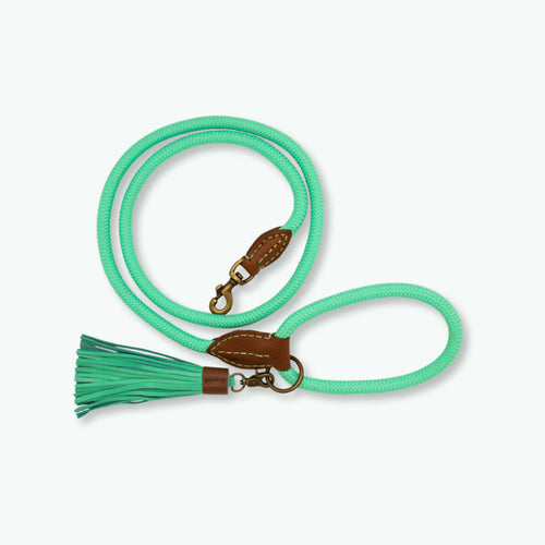 DWAM - Dog with a mission - Classic Dog leash