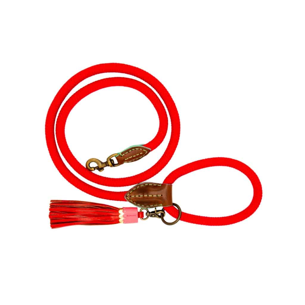 DWAM - Dog with a mission - Classic Dog leash