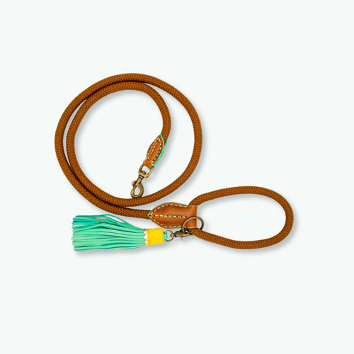 DWAM - Dog with a mission - Classic Dog leash