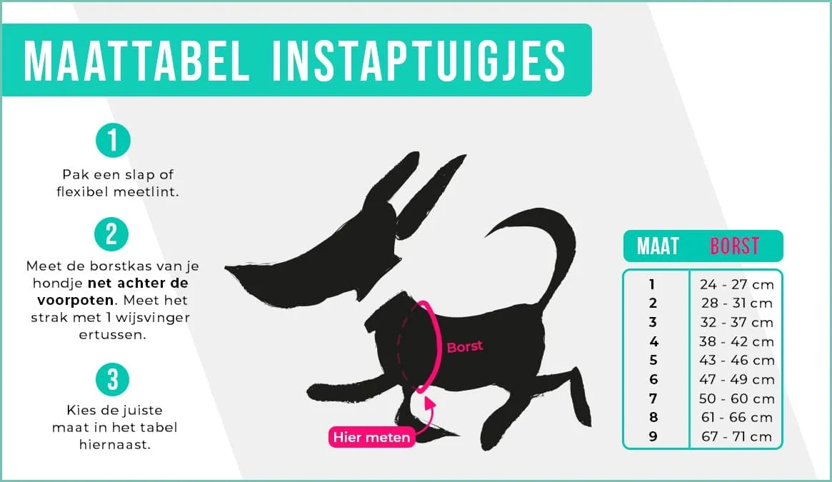 DWAM - Dog with a mission - MORGAN HARNESS