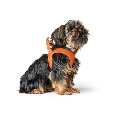 HUNTER - Hilo Comfort Harnas - Leder