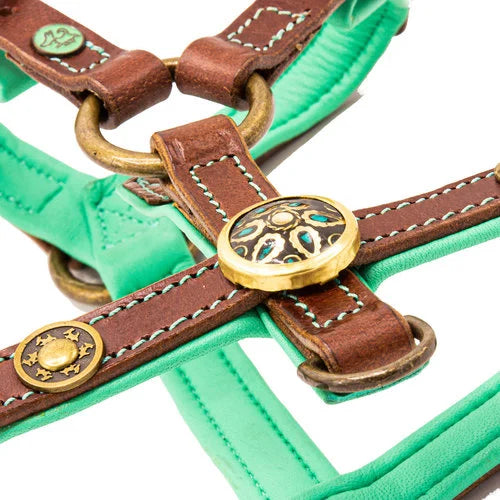 DWAM - Dog with a mission - ROCK Harness