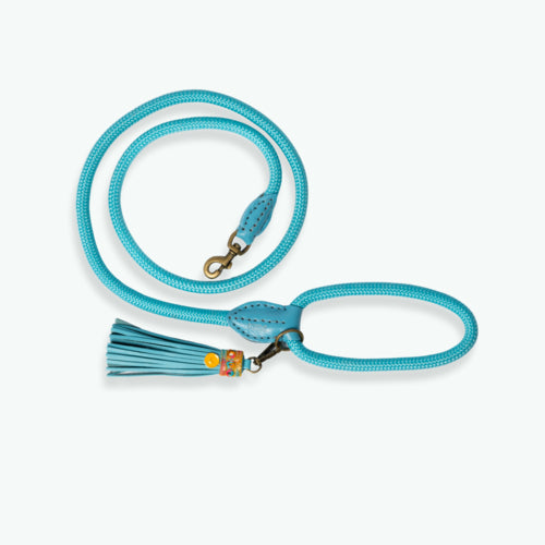 DWAM - Dog with a mission - Classic Dog leash