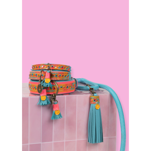 DWAM - Dog with a Mission - INDIAN SUMMER