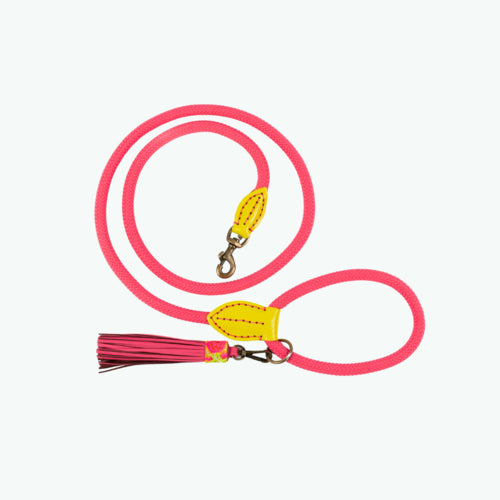 DWAM - Dog with a mission - Classic Dog leash