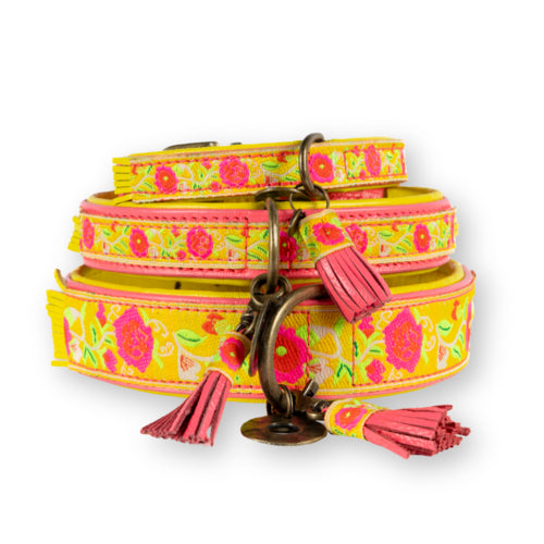 DWAM - Dog with a Mission - LOTUS