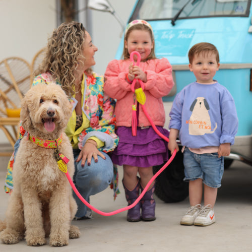 DWAM - Dog with a Mission - LOTUS