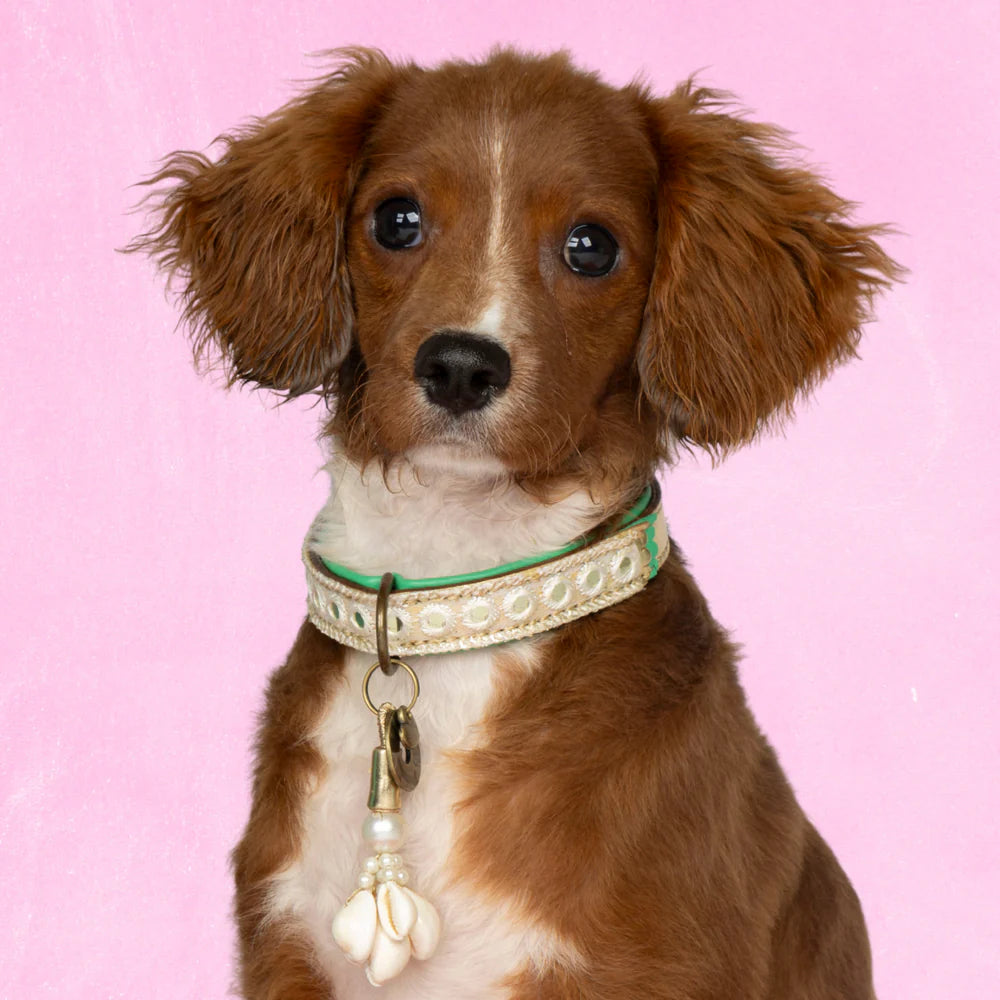 DWAM - Dog with a mission - Love Story