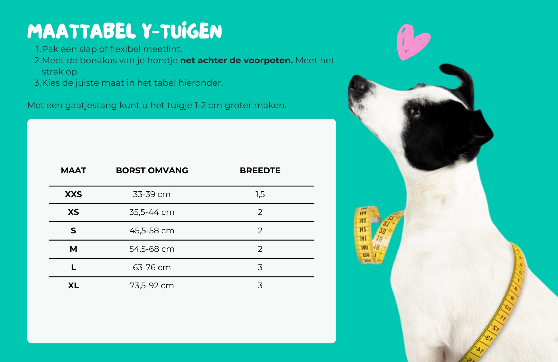 DWAM - Dog with a mission - ROCK Harness