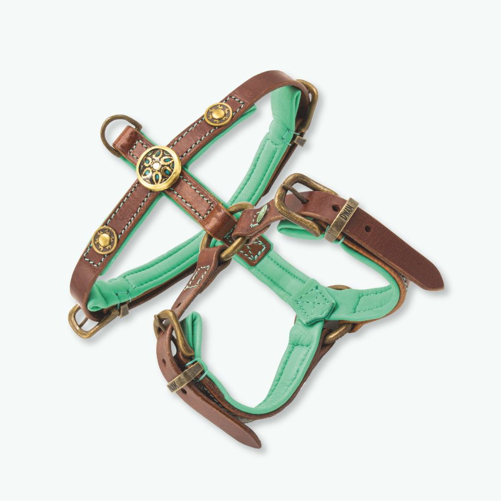 DWAM - Dog with a mission - ROCK Harness