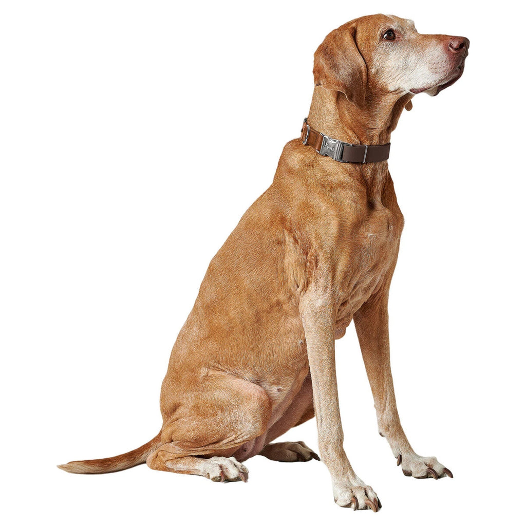 HUNTER - WOLMAR - Biothane Halsbanden AluStrong