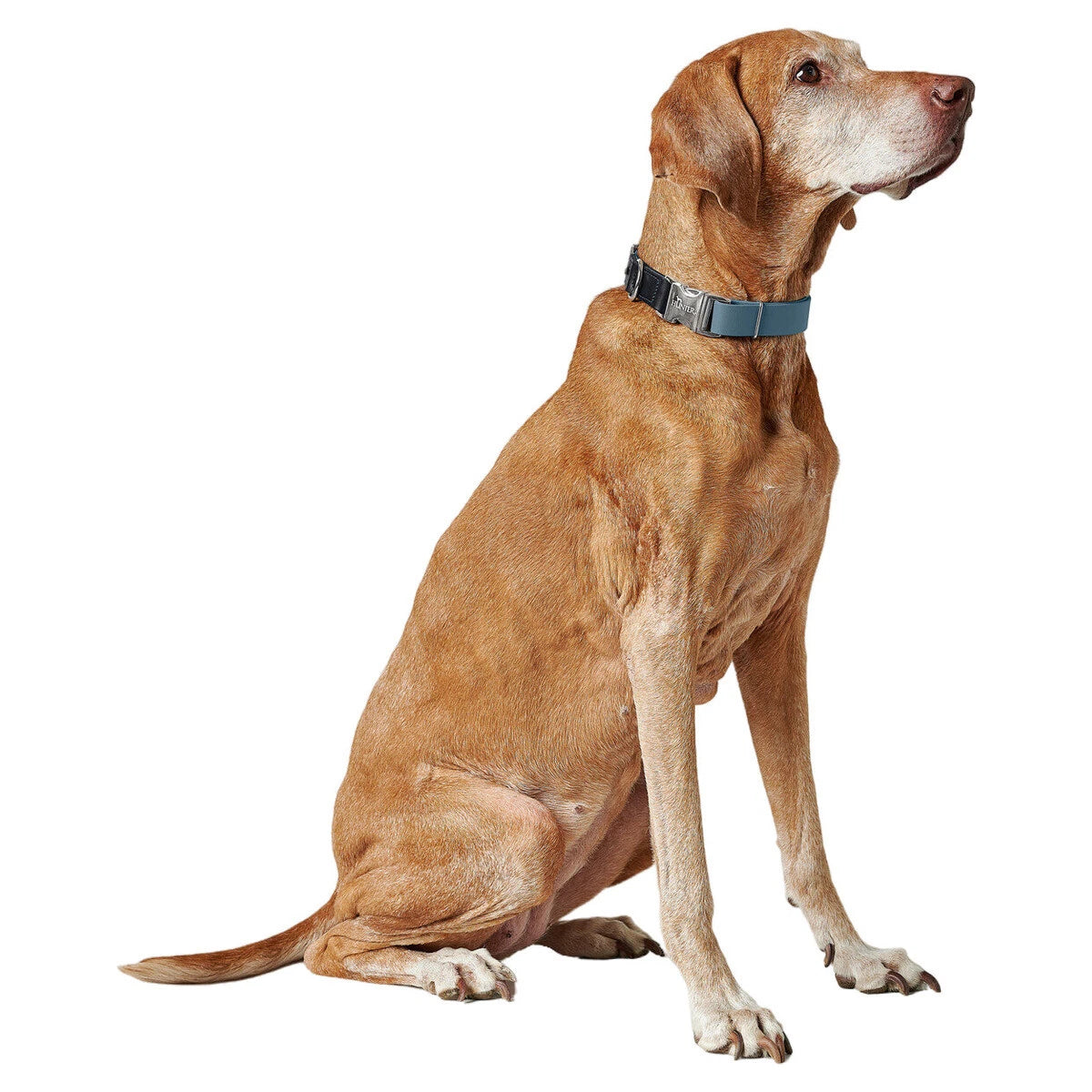 HUNTER - WOLMAR - Biothane Halsbanden AluStrong