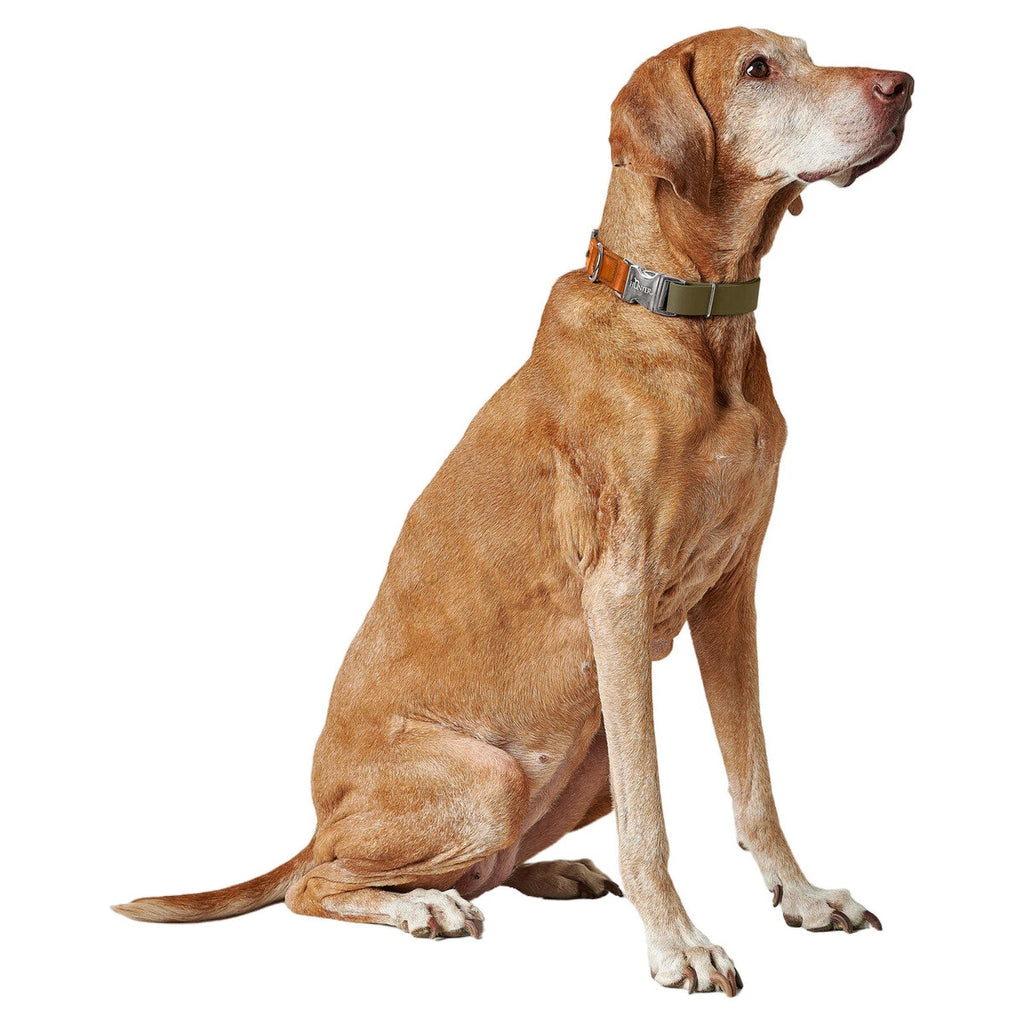HUNTER - WOLMAR - Biothane Halsbanden AluStrong