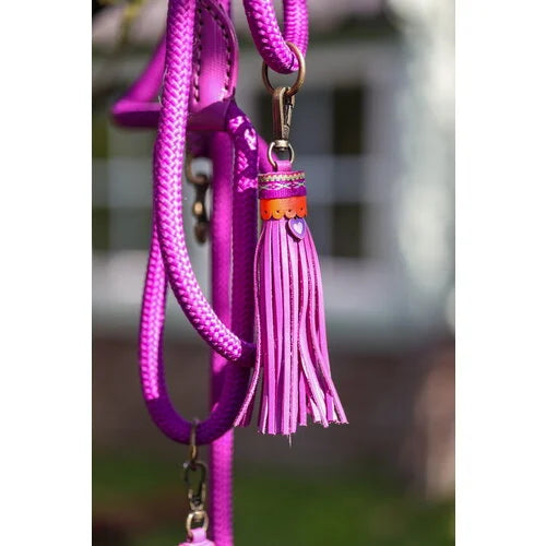 DWAM - Dog with a mission - SPICE