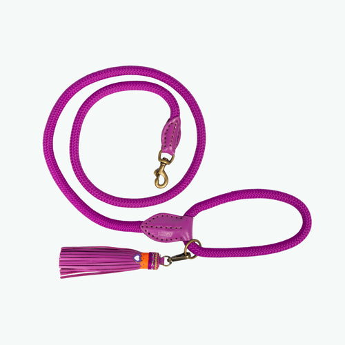 DWAM - Dog with a mission - Classic Dog leash