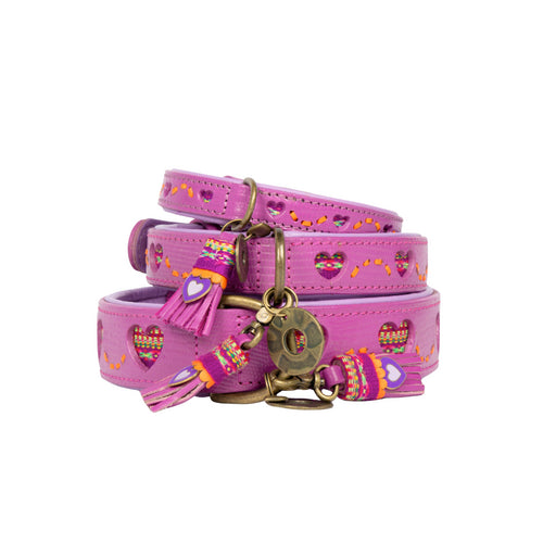 DWAM - Dog with a mission - SPICE