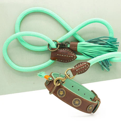 DWAM - Dog with a mission - URBAN